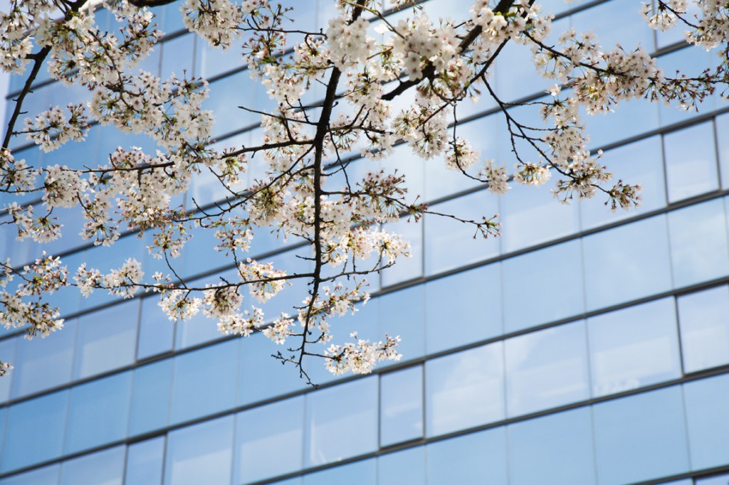 3月は普通の月